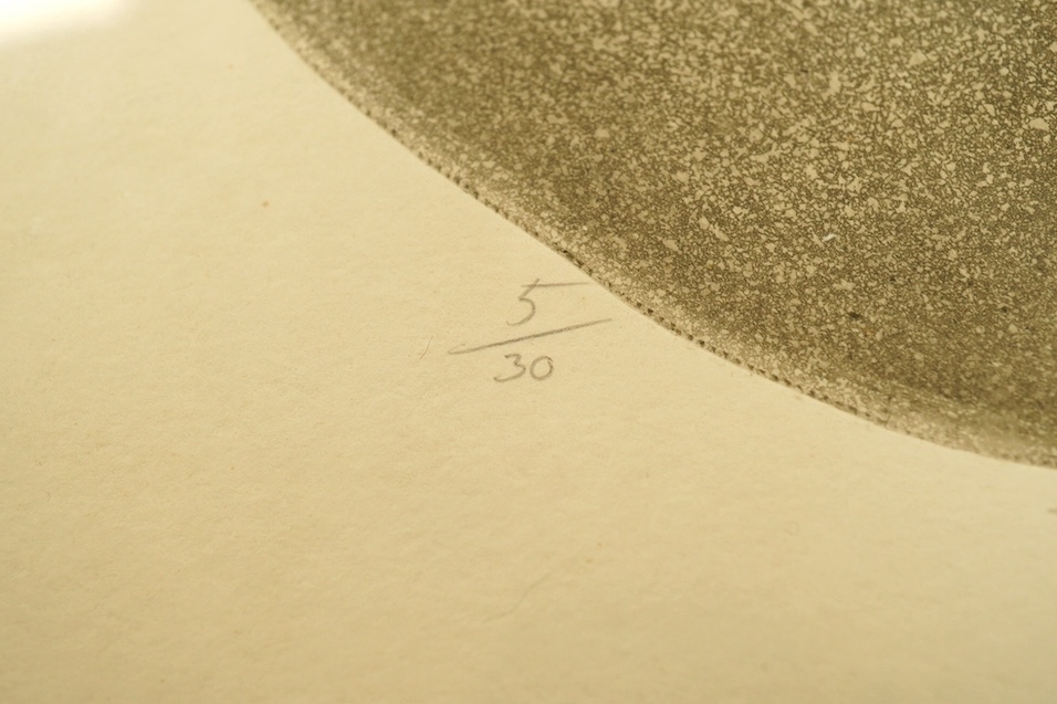 Michael Blaker (b.1928), monochrome etching, 'Diana', signed in pencil, limited edition, 5/30, 41 x 32cm. Condition - fair to good, some minor discolouration